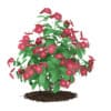 3d Hibiscus Flowers