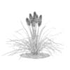 3d Kniphofia Plant