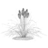 3d Kniphofia Plant
