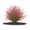 3d Decorative Grass