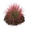 3d Decorative Grass