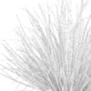 Ornamental Grass - Image 8