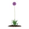 CGAxis Models Volume 66 Garden Plants II - Image 4