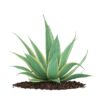 CGAxis Models Volume 66 Garden Plants II - Image 5