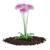 CGAxis Models Volume 66 Garden Plants II - Image 8