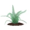 CGAxis Models Volume 66 Garden Plants II - Image 9