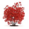 CGAxis Models Volume 66 Garden Plants II - Image 10