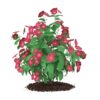 CGAxis Models Volume 66 Garden Plants II - Image 13