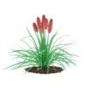CGAxis Models Volume 66 Garden Plants II - Image 15