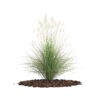 CGAxis Models Volume 66 Garden Plants II - Image 18