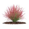 CGAxis Models Volume 66 Garden Plants II - Image 19