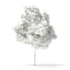 3d Horse Chestnut