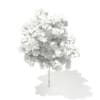 3d Horse Chestnut