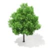 3d Horse Chestnut