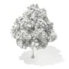 3d Horse Chestnut