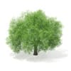 3d Horse Chestnut