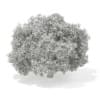 3d Horse Chestnut