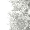 3d Horse Chestnut