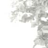 3d Horse Chestnut