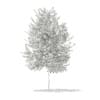 3d Silver Birch