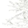 3d Silver Birch