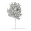 3d Silver Birch