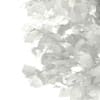 3d Silver Birch