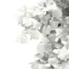 3d Silver Birch