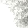 3d Silver Birch