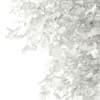 3d Silver Birch