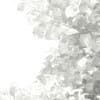 3d Silver Birch