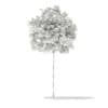 3d Sycamore Maple