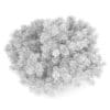 Pine Shrub (Pinus) - Image 6