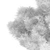 Pine Shrub (Pinus) - Image 8