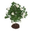 White Rose Tree - Image 5