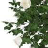 White Rose Tree - Image 7