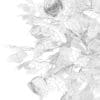 White Rose Tree - Image 8