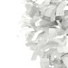 3d European Beech
