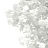 3d European Beech