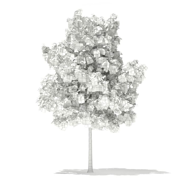 3d Sweetgum Tree