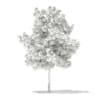 3d Sweetgum Tree