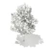 3d Sweetgum Tree