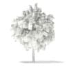3d White Willow