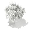 3d White Willow