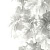 3d White Willow