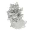 3d White Willow