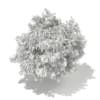 3d White Willow