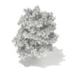 3d White Willow