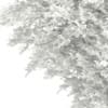 3d Bigtooth Aspen