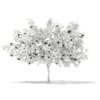 3d European Rowan